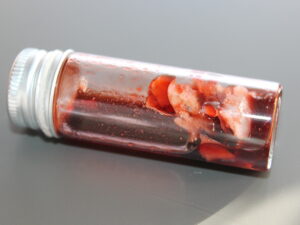 Simulated Body Tissue Flesh Specimen Vial