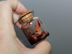 Simulated Flesh Specimen Apothecary Jar